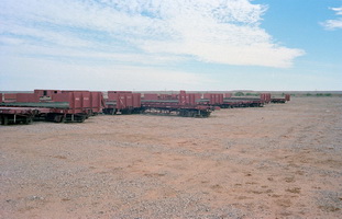 15.5.1981,Marree - NRE1024 + NRE1057 + various NRE flat wagons