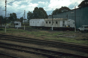 11.6.1986 8208 + 8121 camp train Naracoorte