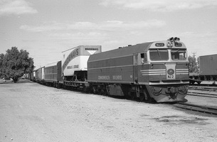 25.8.1976 - Marree - NJ2 on mixed train