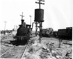 1957 - loco SAR P123 + P118 + diesel 802 - Loco Depot - Gillman - Adrian Thomas Collection