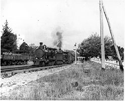 c.1920 - locos SAR Rx216 + Rx235 on passenger train in platform - wooden open wagon - Bridgewater